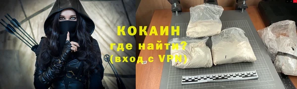 гашик Алексин