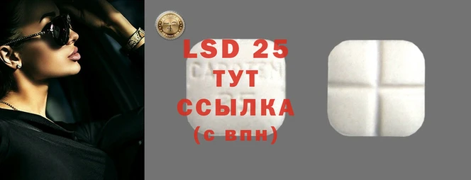 молекула духа Зеленокумск