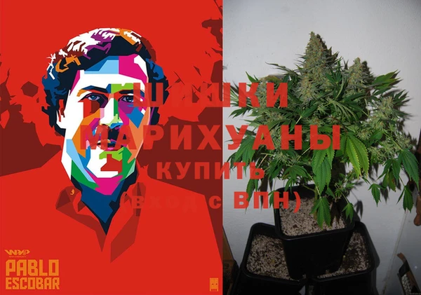 гашик Алексин