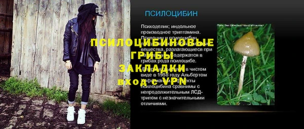 эйфоретик Алзамай