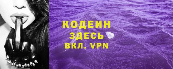 гашик Алексин