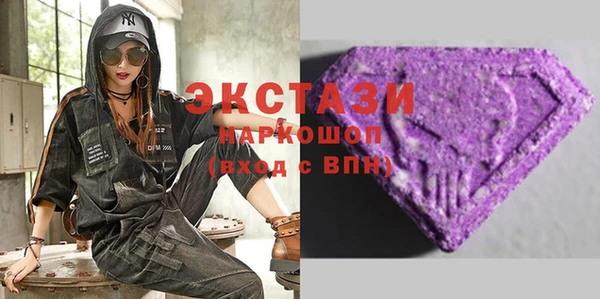гашик Алексин