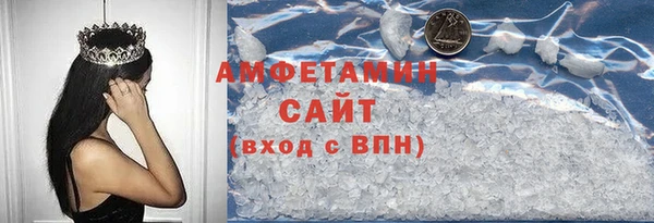 гашик Алексин